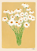 Load image into Gallery viewer, CARLA LLANOS - Daisies