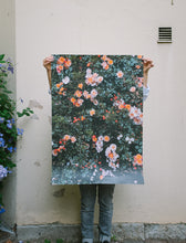 Load image into Gallery viewer, ELIZABETH DUNKER _ ROSE 70cm X 100cm